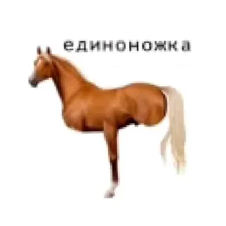 🌟 emoji все,что я лбблюю Telegram sticker 17 of 119
