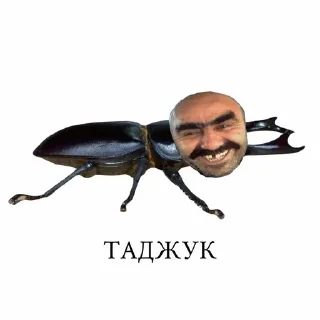 🌟 emoji все,что я лбблюю Telegram sticker 16 of 119