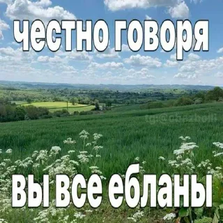 😜 emoji я вас ненавижу ➡️ @Ctikerubot Telegram sticker 22 of 45