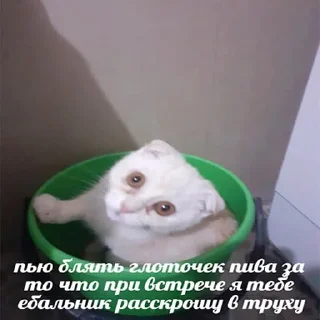 Sticker from хорошо