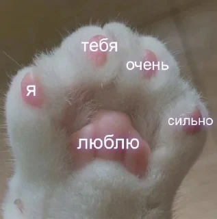 Пикчи💗 sticker 2