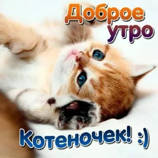 Good Morning Night sticker 2
