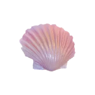 🐚 emoji ๑๑ ૮꒰⸝⸝>  ‌ <⸝⸝꒱ა’ Telegram sticker 12 of 44
