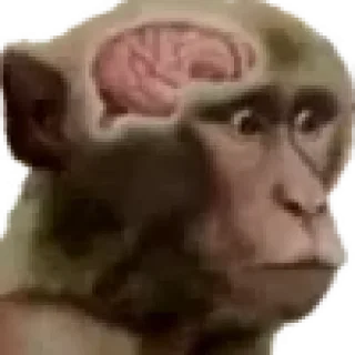 🧠 emoji discord.gg/skhodkaumnikov @TgEmodziBot Telegram sticker 10 of 102