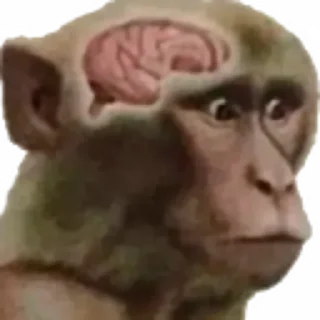 🧠 emoji discord.gg/skhodkaumnikov Telegram sticker 21 of 107