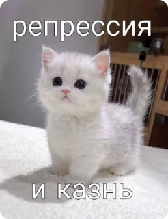 Sticker from Мемчанский