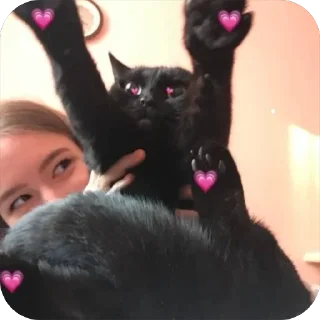🌟 emoji микроволновка Telegram sticker 2 of 20