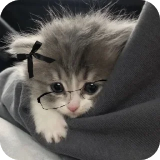 🐱 emoji @CLOOBHUB <- БОЛЬШЕ Telegram sticker 6 of 48