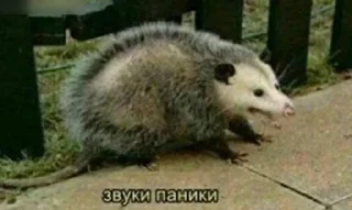 😱 emoji @STICKRULE <- БОЛЬШЕ Telegram sticker 9 of 53
