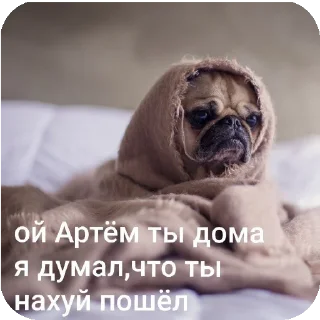 Sticker from писи
