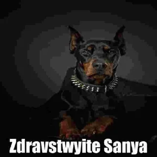 Sticker from Саняпёс