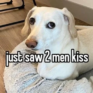 🐶 emoji homophobic animals Telegram sticker 4 of 27