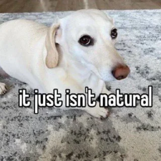 🐶 emoji homophobic animals Telegram sticker 5 of 27
