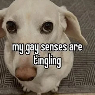 🐶 emoji homophobic animals Telegram sticker 10 of 27
