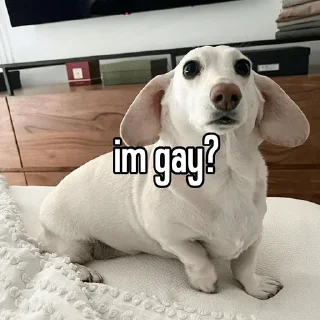 🐶 emoji homophobic animals Telegram sticker 12 of 27