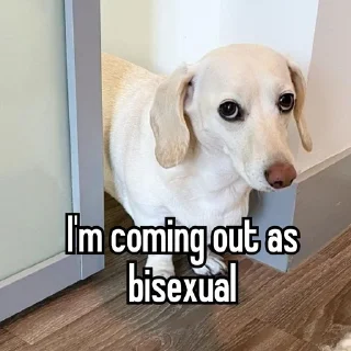 🏳️‍🌈 emoji homophobic animals Telegram sticker 2 of 27