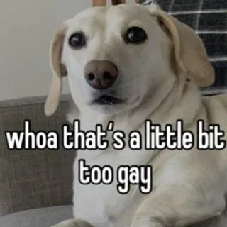 🐶 emoji homophobic animals Telegram sticker 6 of 27