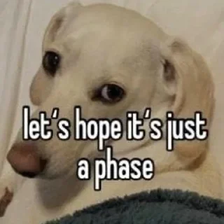 🐶 emoji homophobic animals Telegram sticker 9 of 27