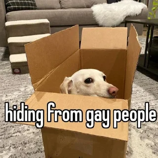 🐶 emoji homophobic animals Telegram sticker 21 of 27