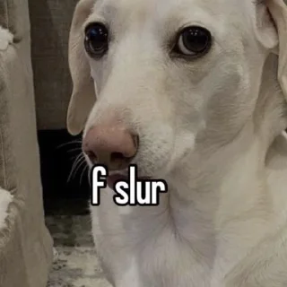 🐶 emoji homophobic animals Telegram sticker 11 of 27
