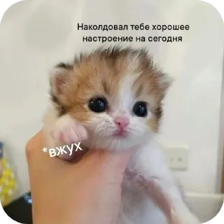 Sticker from Придумайте название для набора