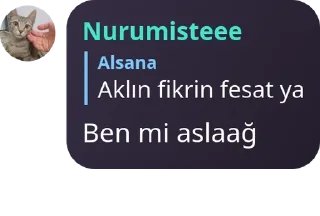 🧑‍🔬 emoji │ 𝐒 𝐇 𝐔 𝐑 𝐈̇ 𝐌 𝐀 │ pack by @QuotLyBot Telegram sticker 5 of 120