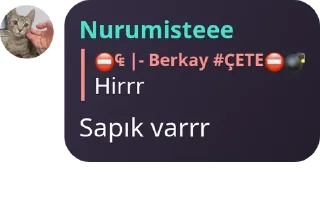 7️⃣ emoji │ 𝐒 𝐇 𝐔 𝐑 𝐈̇ 𝐌 𝐀 │ pack by @QuotLyBot Telegram sticker 23 of 120