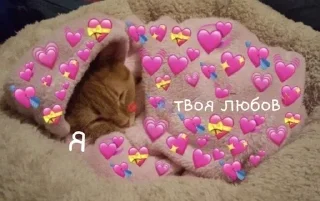 Sticker from ฅ⁠^⁠•⁠ﻌ⁠•⁠^⁠ฅ