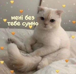 Sticker from ฅ⁠^⁠•⁠ﻌ⁠•⁠^⁠ฅ