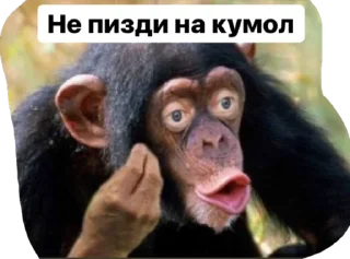 Sticker from ТОП СНГ