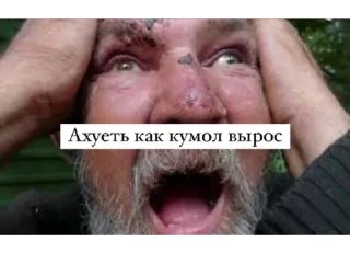 Sticker from ТОП СНГ