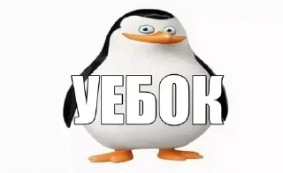 🐧 emoji @FULLSITION <- БОЛЬШЕ Telegram sticker 2 of 120