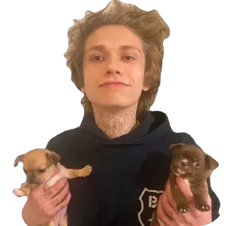 🫥 emoji угашен хокаге Telegram sticker 5 of 96