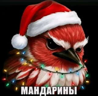 🌟 emoji ПТИЧКИИИ [by @Fembotech] Telegram sticker 22 of 69