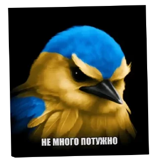 👍 emoji ПТИЧКИИИ [by @Fembotech] Telegram sticker 8 of 69