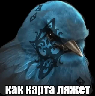 🌟 emoji ПТИЧКИИИ [by @Fembotech] Telegram sticker 23 of 69