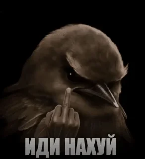🌟 emoji ПТИЧКИИИ [by @Fembotech] Telegram sticker 19 of 69
