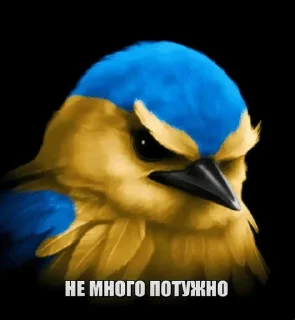 🌟 emoji ПТИЧКИИИ [by @Fembotech] Telegram sticker 11 of 69