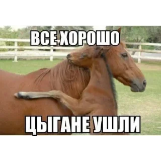 🤗 emoji цыганы, хачи, два чурбана Telegram sticker 11 of 18