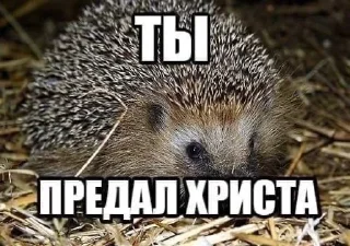 🌟 emoji Шарик мамкин нагибатор Telegram sticker 18 of 76