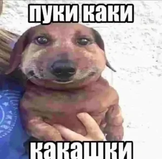 Sticker from BUGBUSTERS🤘1