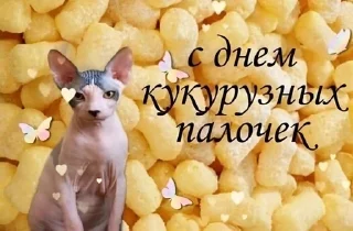 Sticker from жізо праздникє @smazmik