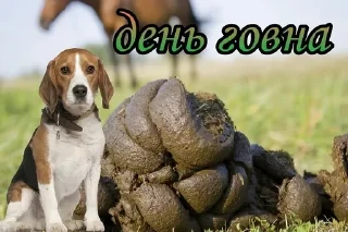 Sticker from жізо праздникє @smazmik