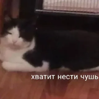 😨 emoji мои собачки Telegram sticker 7 of 18