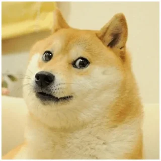 Sticker from Собачки @dogsaredogs