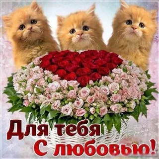 Sticker from Хорошего дня отличного настрое