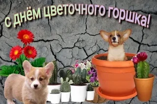 🥳 emoji с праздником!!!!👍😂🥳😘 Telegram sticker 15 of 85