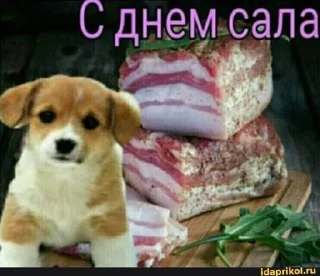 🥳 emoji с праздником!!!!👍😂🥳😘 Telegram sticker 5 of 85