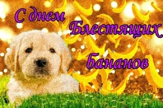 🥳 emoji с праздником!!!!👍😂🥳😘 Telegram sticker 20 of 85