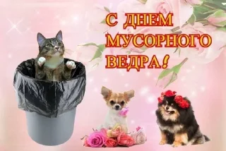 🥳 emoji с праздником!!!!👍😂🥳😘 Telegram sticker 24 of 85